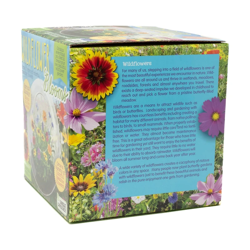 Glass Terrarium - Wildflower Blooms