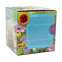 Glass Terrarium - Wildflower Blooms