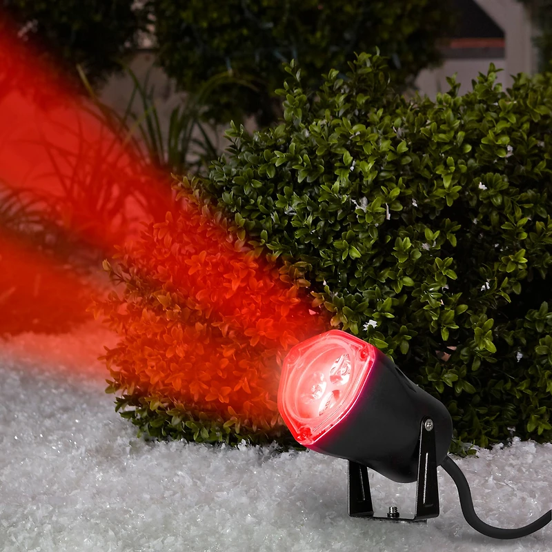 Indoor/Outdoor LED Spotlight by Ashland