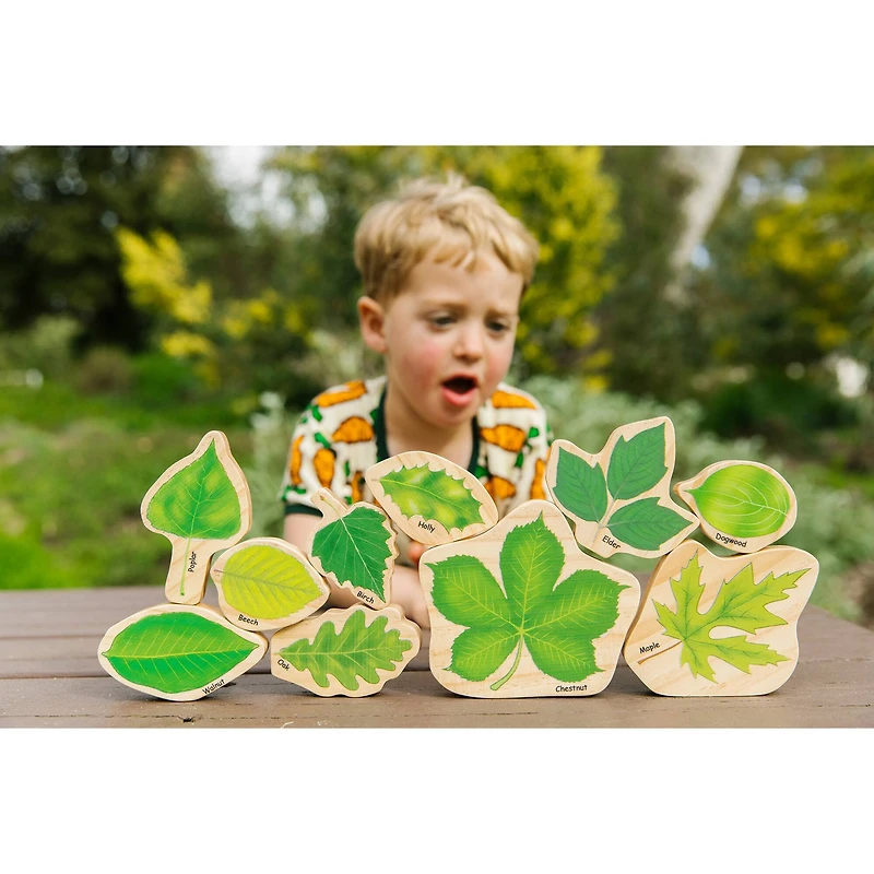 The Freckled Frog Seasons Double-Sided Leaves Play Set