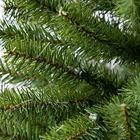 4ft. Pre-Lit Lakewood Spruce Artificial Christmas Tree, Warm White LED Lights by Ashland®