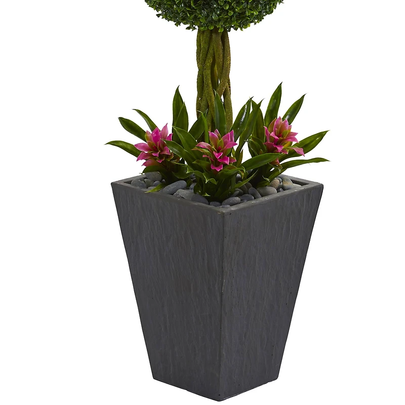 5ft. Double Boxwood Ball Topiary Tree with Bromeliads in Slate Planter