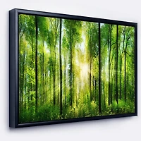 Designart - Forest with Rays of Sun Panorama