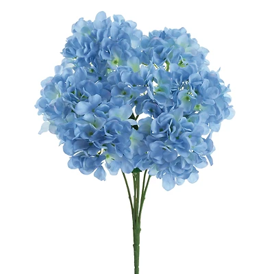 Light Blue Hydrangea Bush