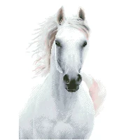 Diamond Dotz® Imperial Stallion Diamond Painting Kit