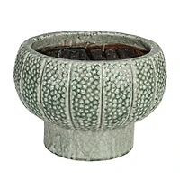 Hello Honey® 10.5" Green Dot Pattern Crackle Glaze Embossed Terra Cotta Footed Vase Planter