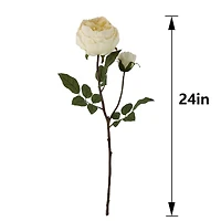 24" Cream Cabbage Rose Stem by Ashland®