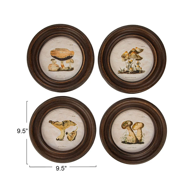 Hello Honey® 9.5" Round Framed Mushroom Print Wall Art Set