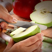 Gibson Home® Classic Profile 36-Piece Stainless Steel Dinner Knife Set