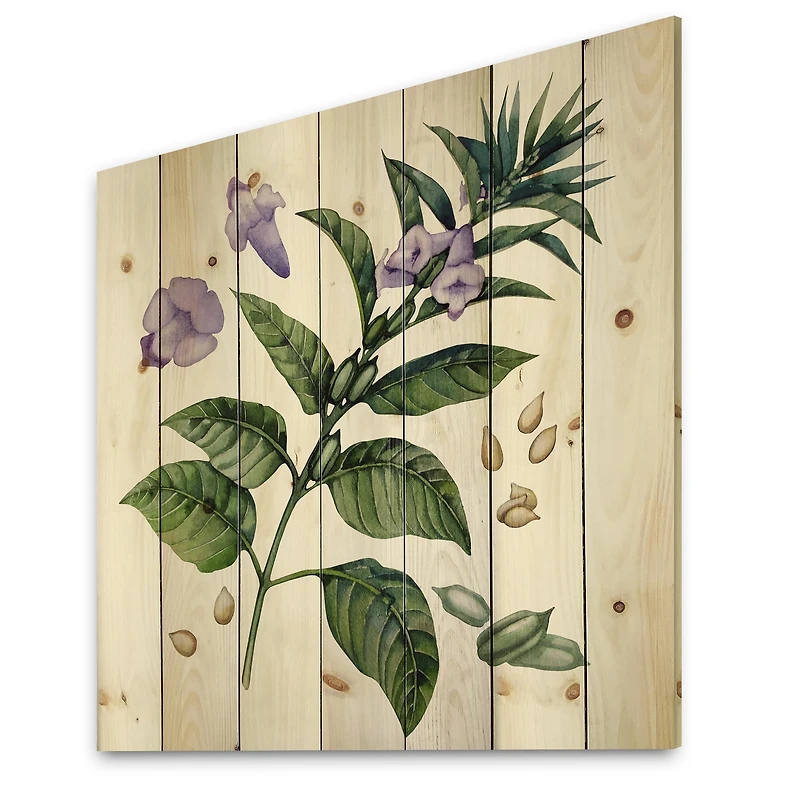 Designart - Purple Sesame Flowers WIth Green Leaves