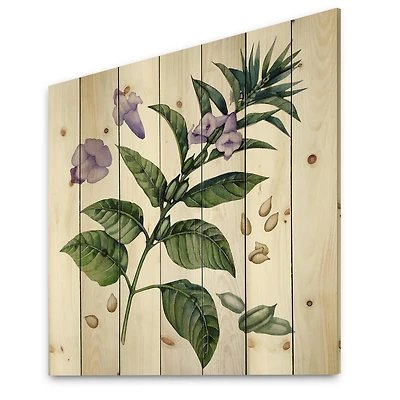 Designart - Purple Sesame Flowers WIth Green Leaves