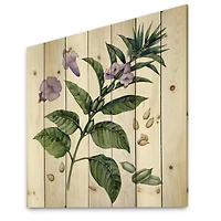 Designart - Purple Sesame Flowers WIth Green Leaves