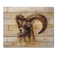 Designart - Portrait of Wild Ram With Mighty Horns I