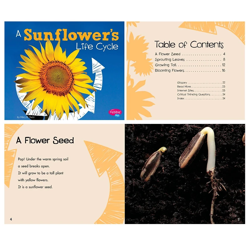 Pebble Plus Explore Life Cycles Set