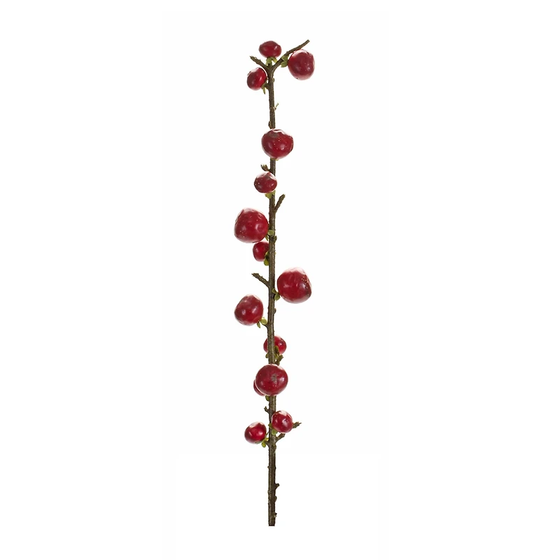 33.25" Red Berry Twig Stems, 6ct.