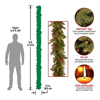 9ft. Clear Lights Mixed Evergreen Classical Collection Garland