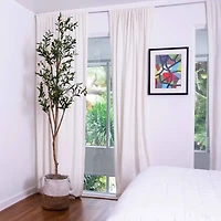 7ft. Olive Tree with Natural Trunk in Handmade Jute Basket