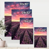 Designart - Sunrise & Dramatic Clouds Over Lavender Field XIV