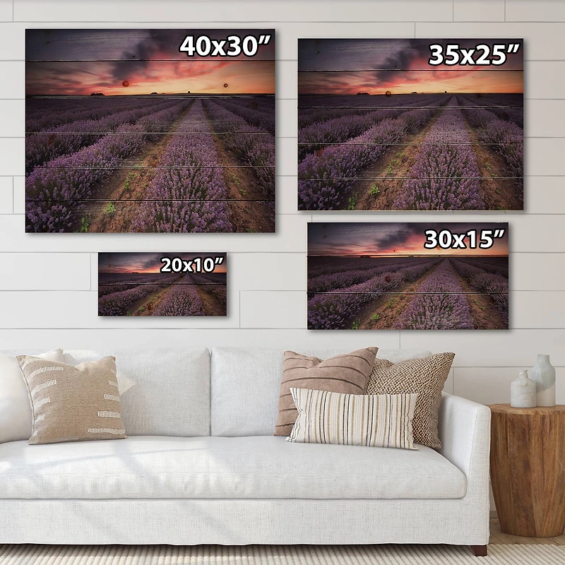 Designart - Sunrise & Dramatic Clouds Over Lavender Field IX