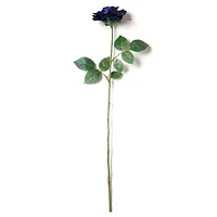 12 Pack: Navy Princess Rose Stem by Ashland®