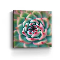 Lumaprints Deep Red Tips Canvas Giclée Wall Art