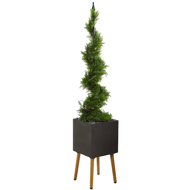5.5ft. Cypress Spiral Topiary Tree in Black Planter with Stand