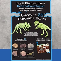 ArtSkills® Epic Lab Dinosaur Fossil Dig Kit with Glow in the Dark Dino Skeletons