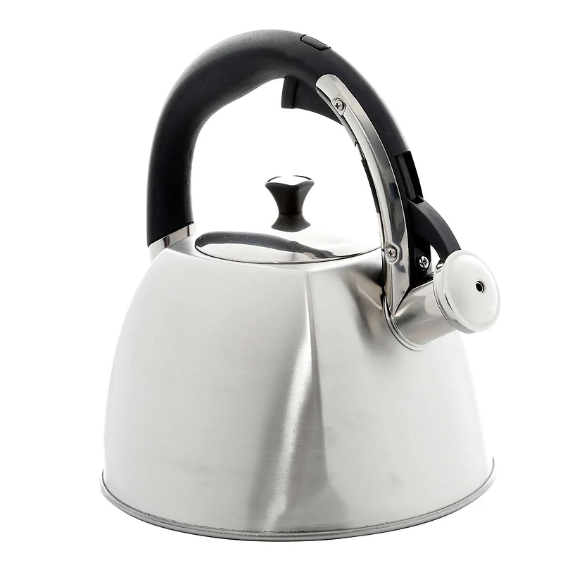 Mr. Coffee Belgrove 2.5qt. Brushed Stainless Steel Whistling Tea Kettle with Nylon Handle