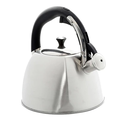 Mr. Coffee Belgrove 2.5qt. Brushed Stainless Steel Whistling Tea Kettle with Nylon Handle