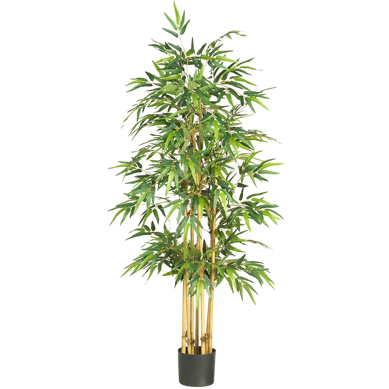 5.3ft. Potted Bamboo Tree