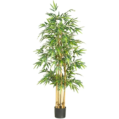 5.3ft. Potted Bamboo Tree