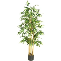 5.3ft. Potted Bamboo Tree