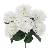 White Hydrangea Bush by Ashland®