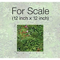 RoomMates Living Wall Peel & Stick Wallpaper