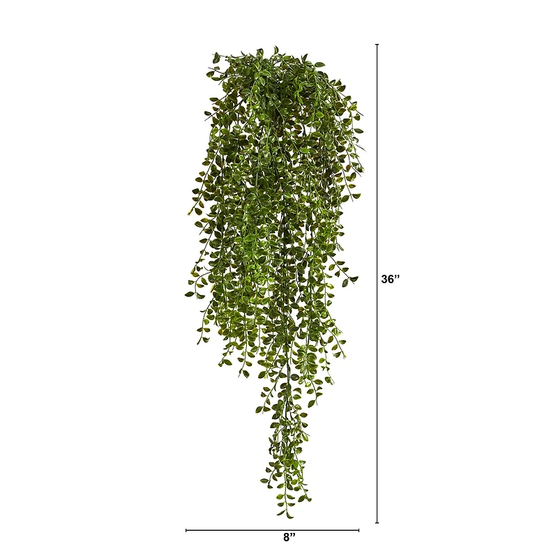 3ft. Potted Honey Locust Bush Plant, 2ct.