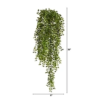 3ft. Potted Honey Locust Bush Plant, 2ct.