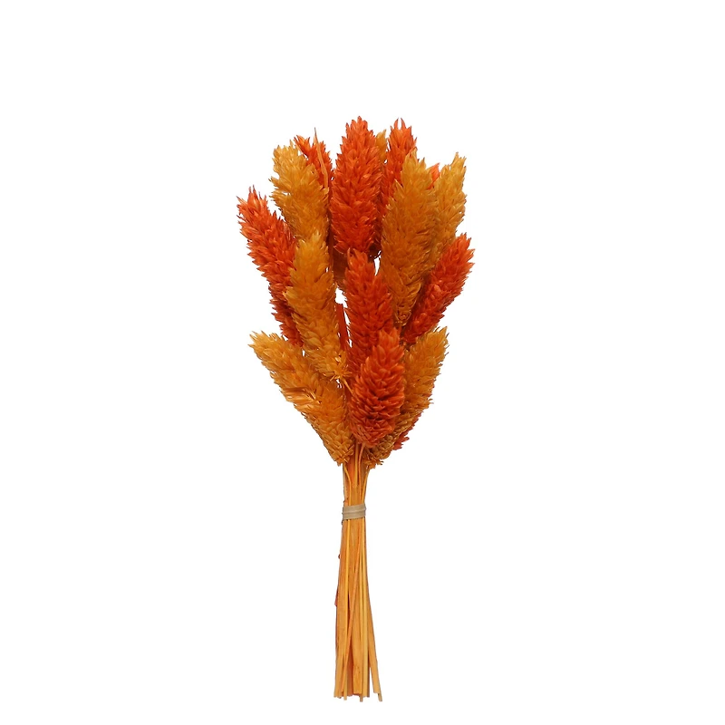7" Orange & Yellow Dried Reed Canary Grass Mini Bundle by Ashland®