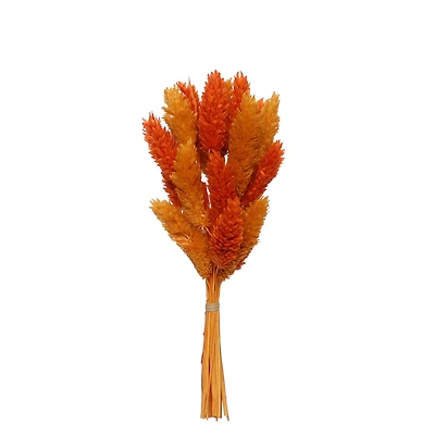 7" Orange & Yellow Dried Reed Canary Grass Mini Bundle by Ashland®