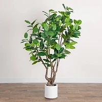 6ft. Artificial Audrey Ficus Leaf Tree in White Decorative Planter