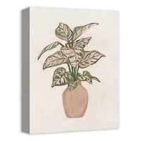 Boho Plant 12" x 16" Canvas Wall Art