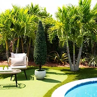 6ft. UV-Resistant Potted Boxwood Topiary Cone Tree