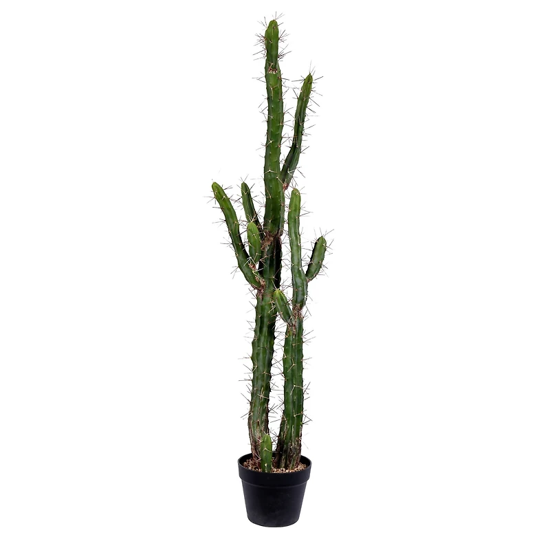 4ft. Potted Green Cactus