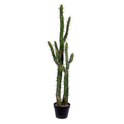 4ft. Potted Green Cactus
