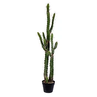 4ft. Potted Green Cactus
