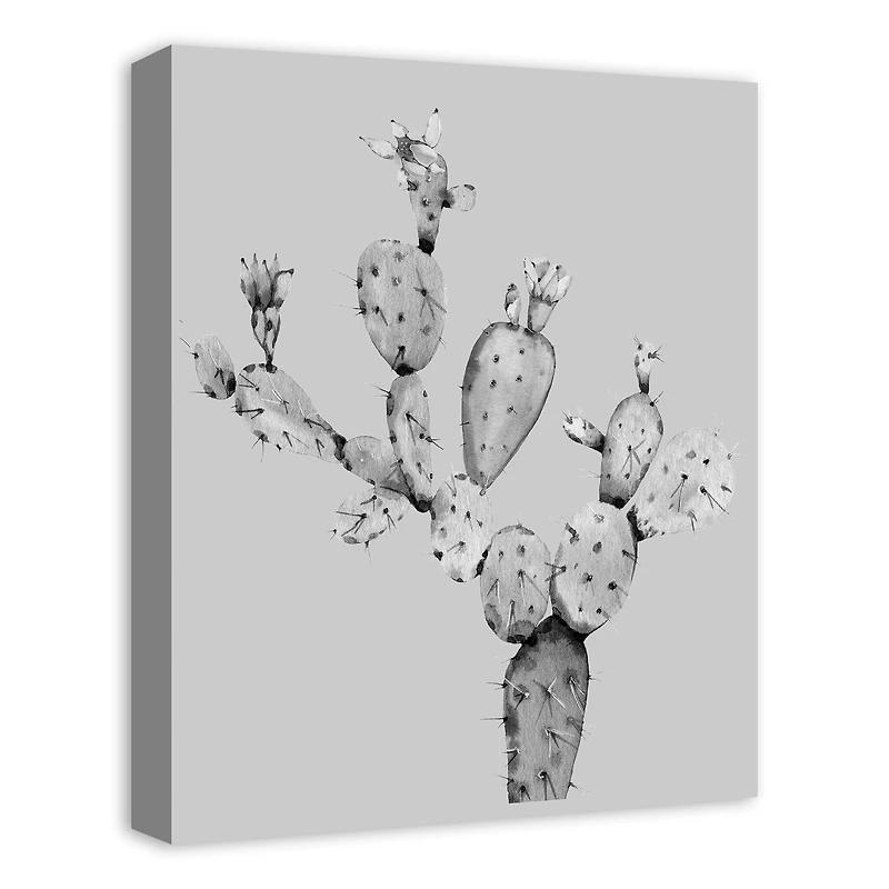 Black White Cactus 16" x 20" Canvas Wall Art
