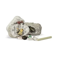 Dig It Up! - Minerals and Fossils
