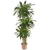 5ft. Corn Stalk Dracaena Silk Plant 