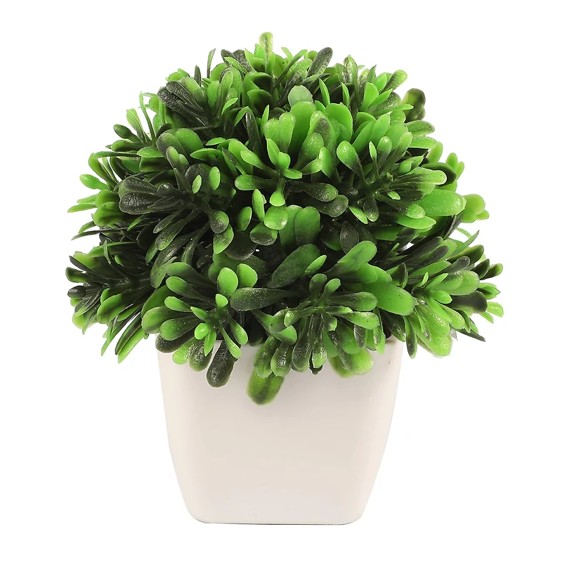 3.75" Premade Green Boxwood Topiaries in Plastic Pots, 4ct. by Ashland®