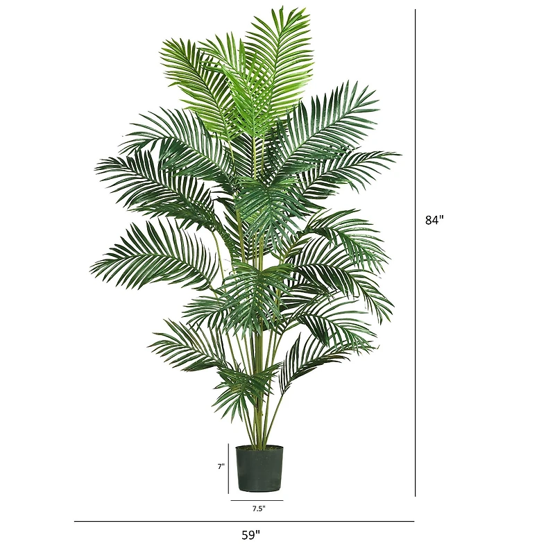 7ft. Potted Paradise Palm