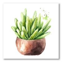 Designart - Succulent Flower In Terracotta Pot I